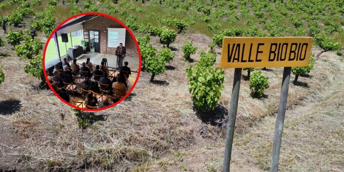 Valle del Biobío