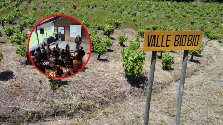 Valle del Biobío