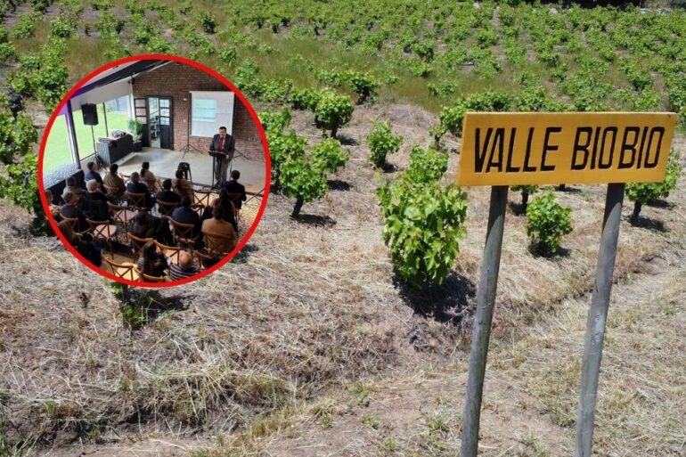 Valle del Biobío