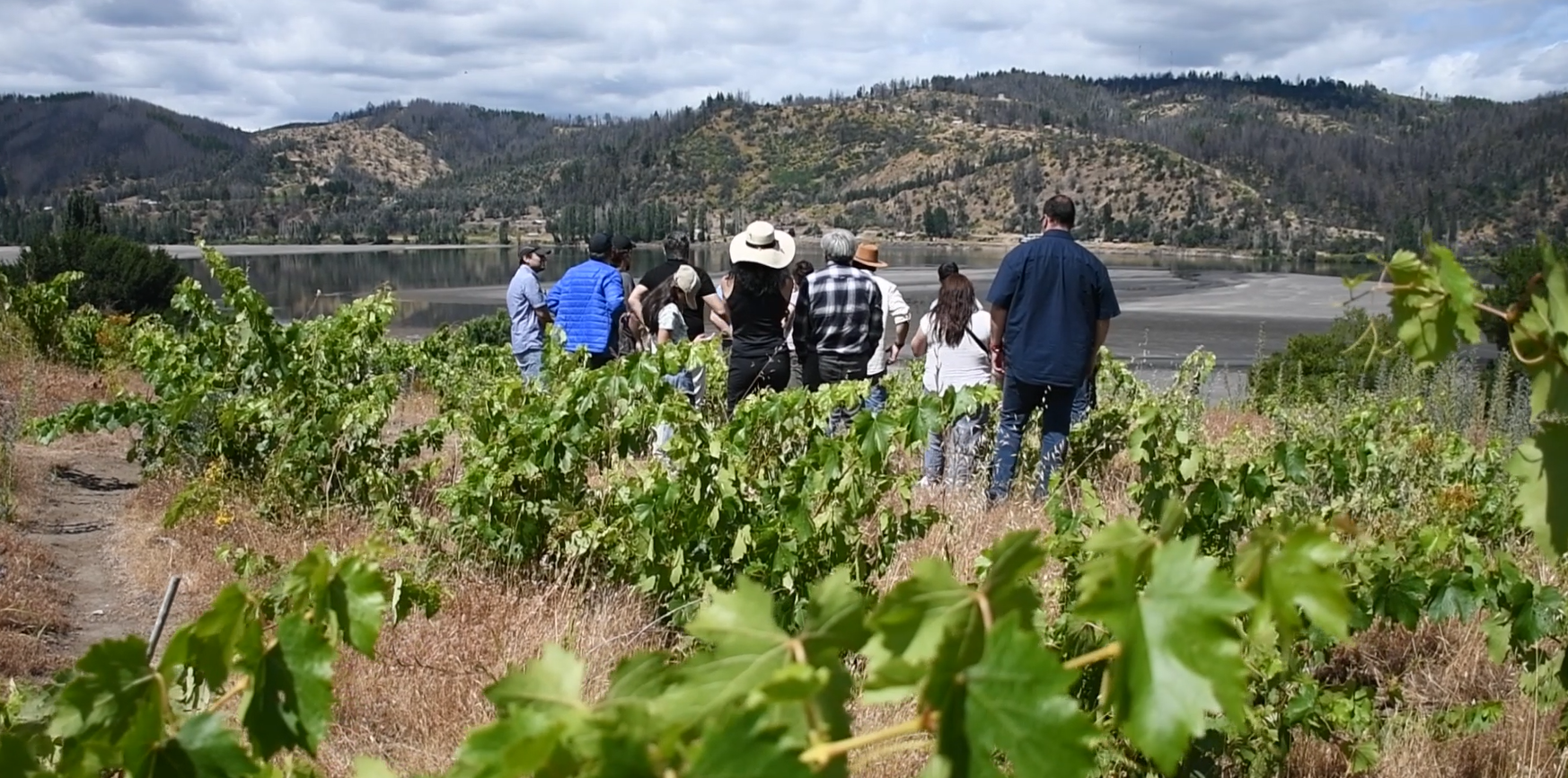 Valle del Biobío
