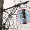 colgados a la electricidad