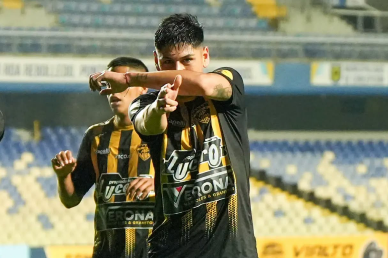 Fernández Vial 1-0 Deportivo Pumanque Tercera División B