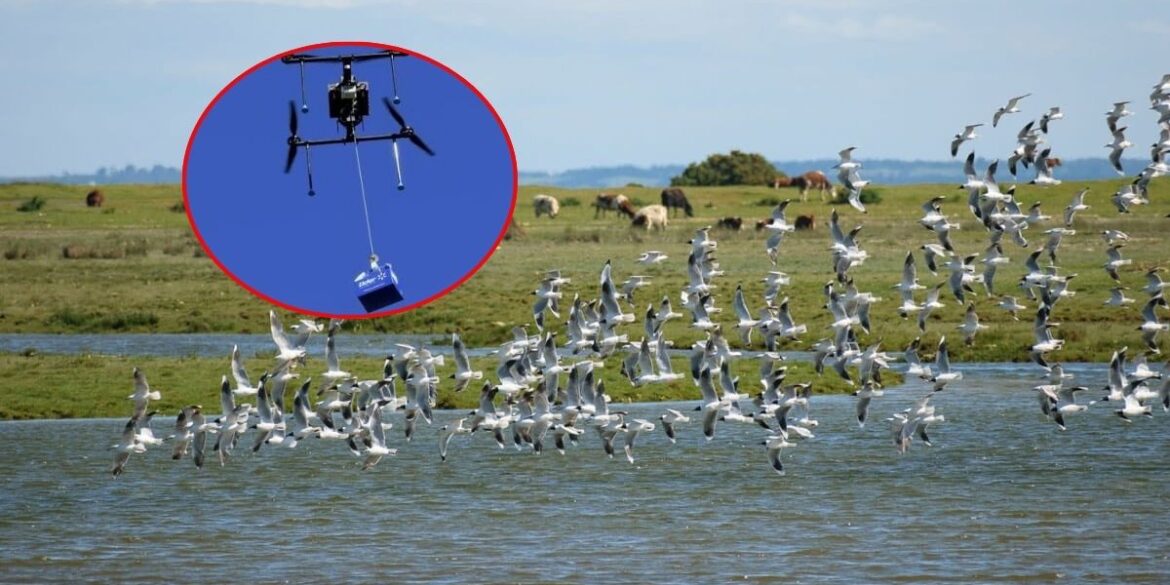 Drones de Delivery en Concepción