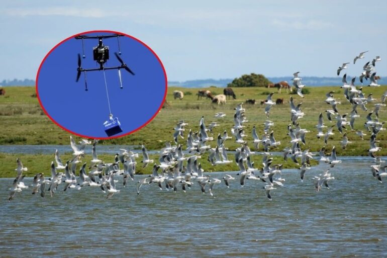 Drones de Delivery en Concepción