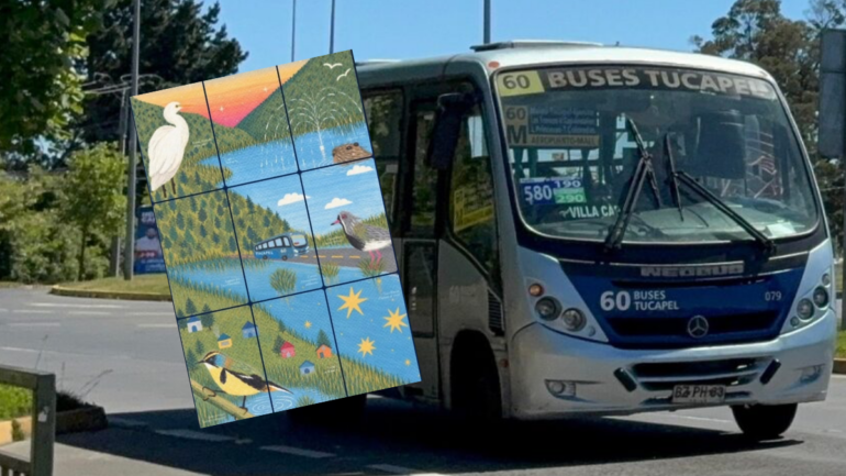 Boletos de micro Buses Tucapel