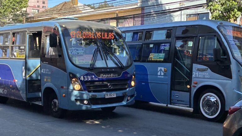 Buses Transporte Público Gran Concepción