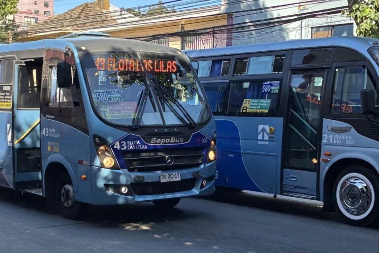 Buses Transporte Público Gran Concepción