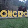 Concepción actividades