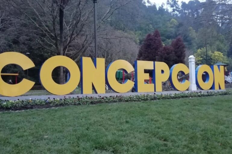 Concepción actividades