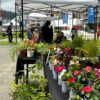 Feria de las Flores