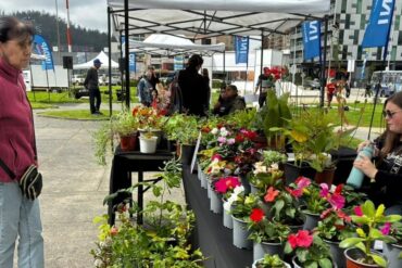Feria de las Flores