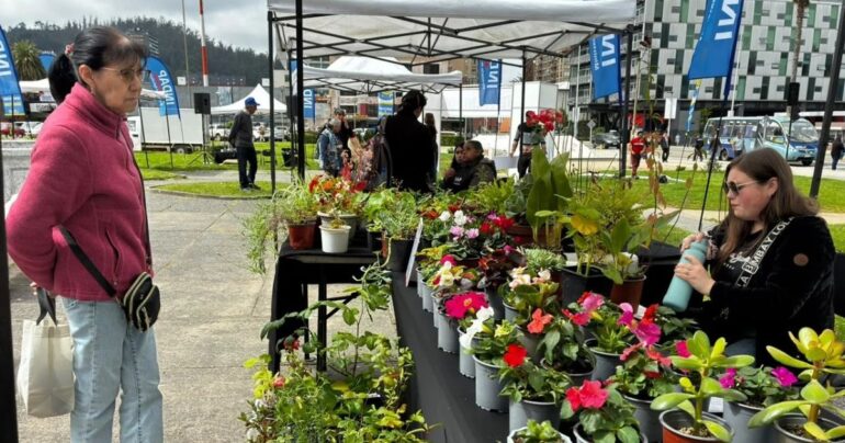 Feria de las Flores
