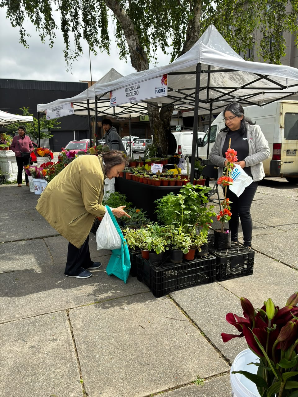 Feria de las Flores