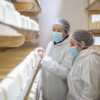 Listeria quesos Matthei