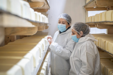 Listeria quesos Matthei
